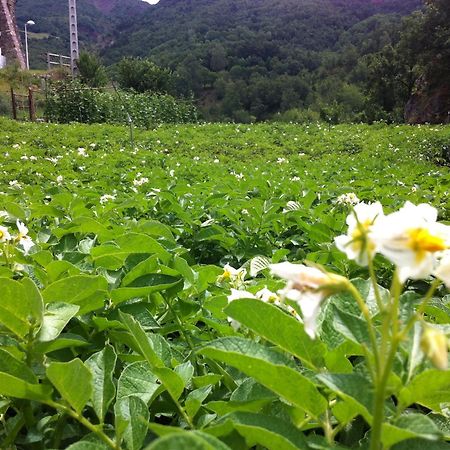 Casa Masover Buira ภายนอก รูปภาพ